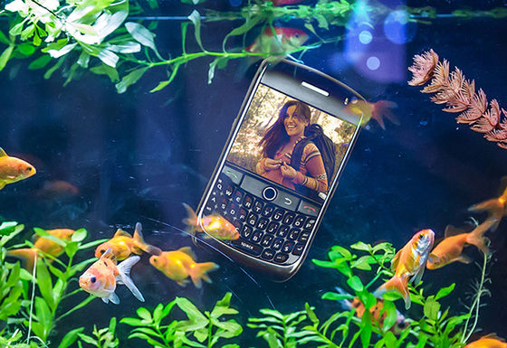 Humans now have a shorter attention span than goldfish, how can you capture your markets attention a