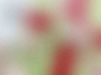 Myriam Invitée créative