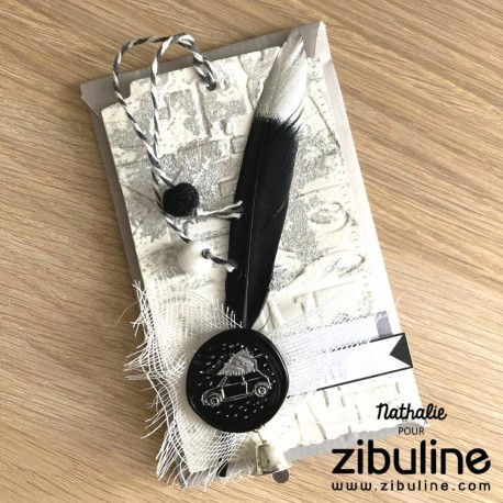 Thumbnail: Plumes décoratives  - Zibuline