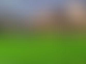 Homecoming Ends with Another Close Loss