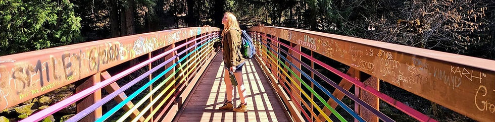 What is Reiki Healing?