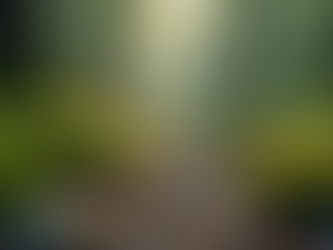 Grounding: How Connecting with the Earth Can Transform Your Health and Wellbeing