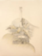 Mar de montes. Impresiones en Los Montes de Toledo