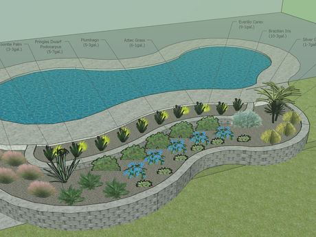 poolside planting plan