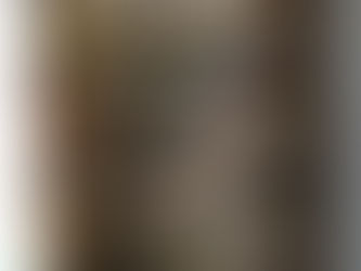 Sardinhas Assadas a Portuguesa -Alimento Denso em Nutrientes e Fonte de Omega 3 (Anti-inflamatorio)