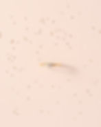 ENSO14668.jpg