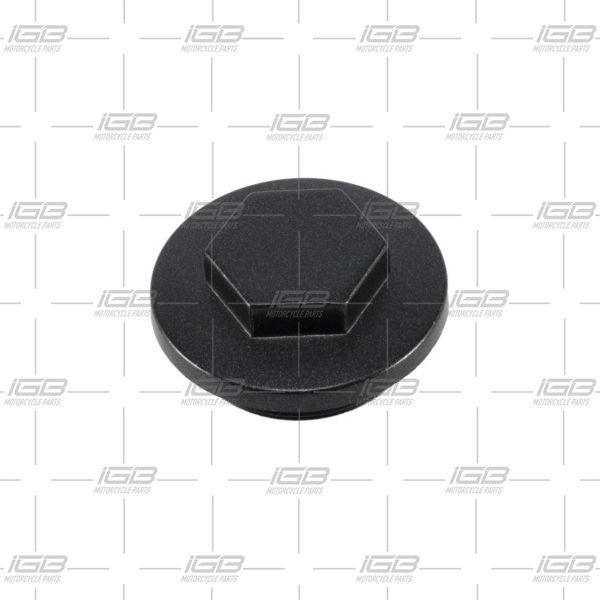 TAPON FILTRO ACEITE CON ORING AKT 125 NKDR SLR 125 150 180 TTR EVO R3 NE TTX CR4