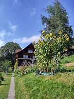 Atelier-Café Daniel Gisler Aussenansicht