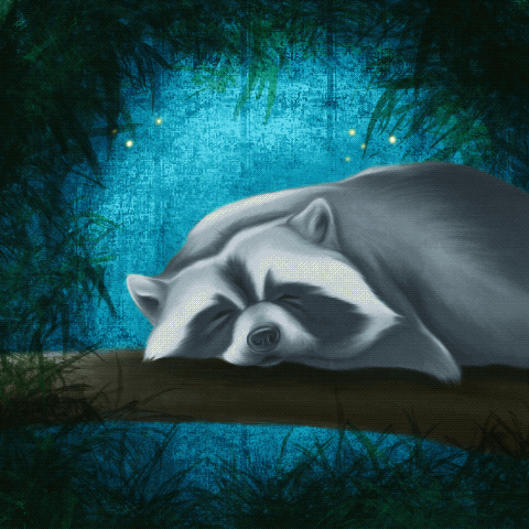 Racoon_Final.gif