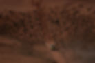 LR-240115113616-MMPHOTO1.jpg