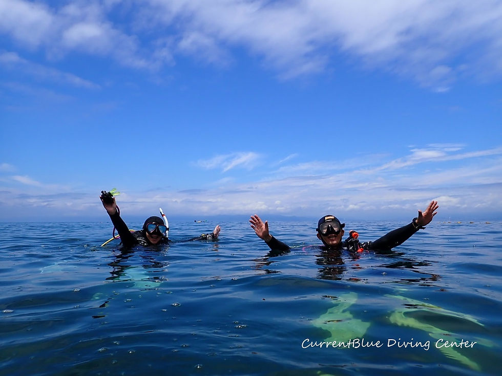 夏に向けて動き出してきました🌊✨