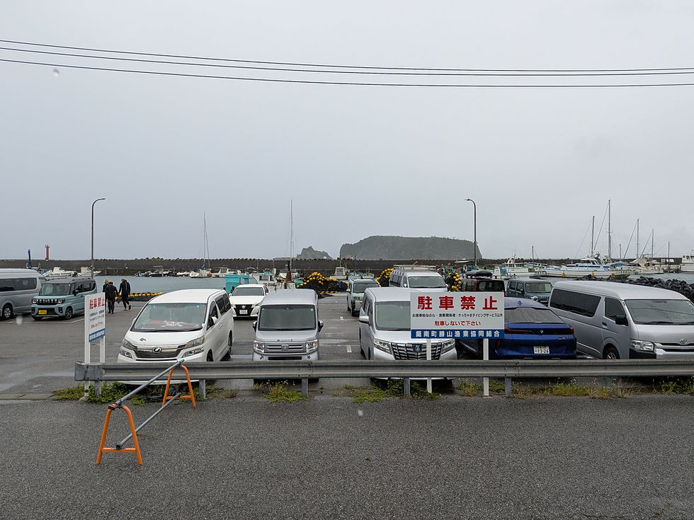 風は強くても海の中は穏やか♪勝山へ🌊