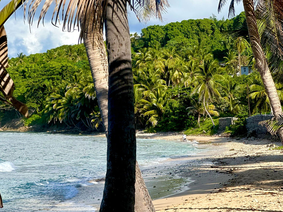 Martins Bay on the East Coast of Barbados - Little Diamond