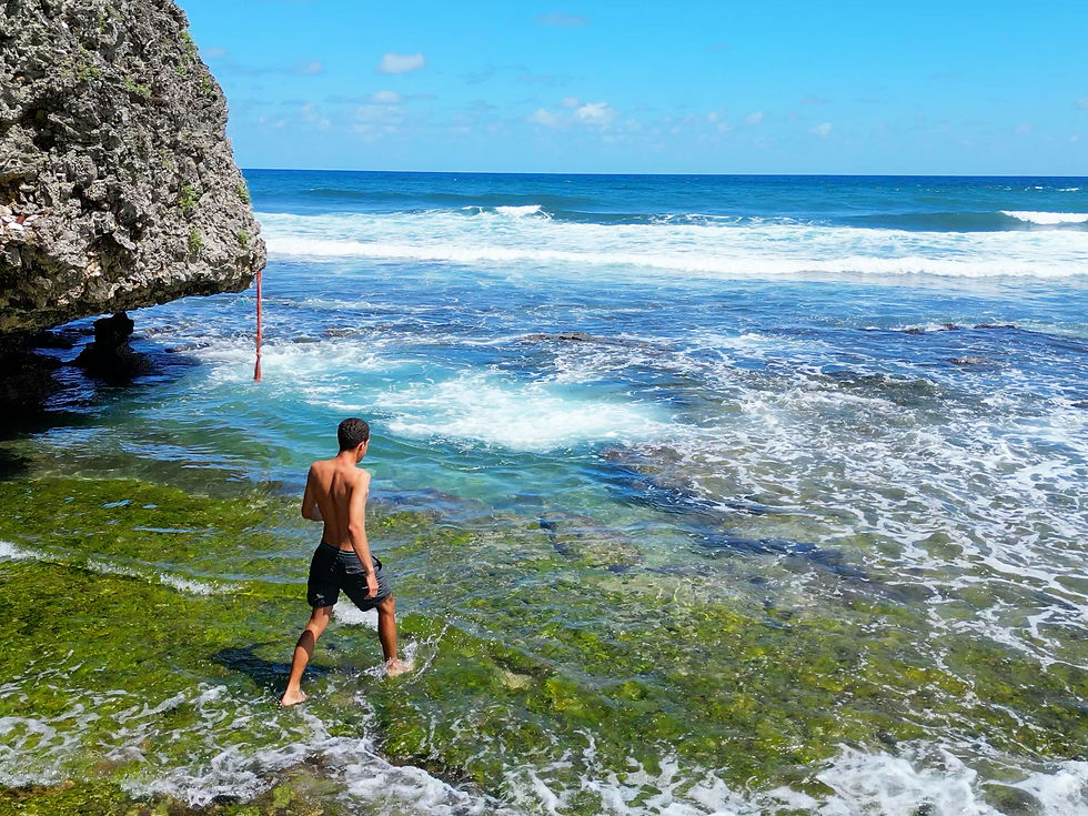 Natural Rock Pool at Bathsheba Beach
