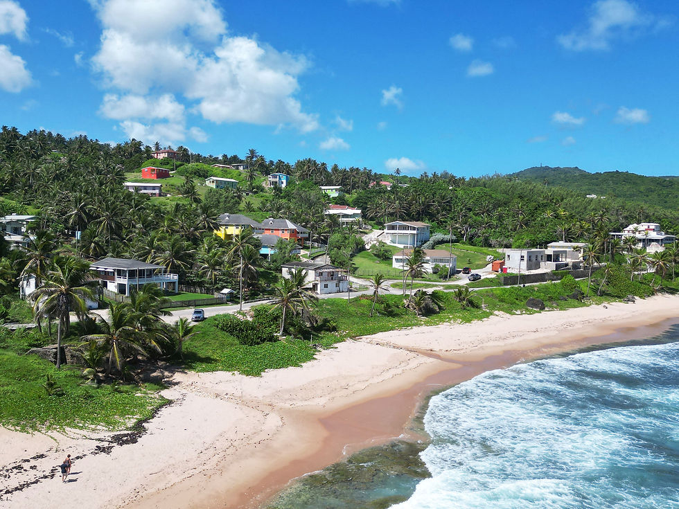 Soup Bowl Beach & Bathsheba Hills - Little Diamond