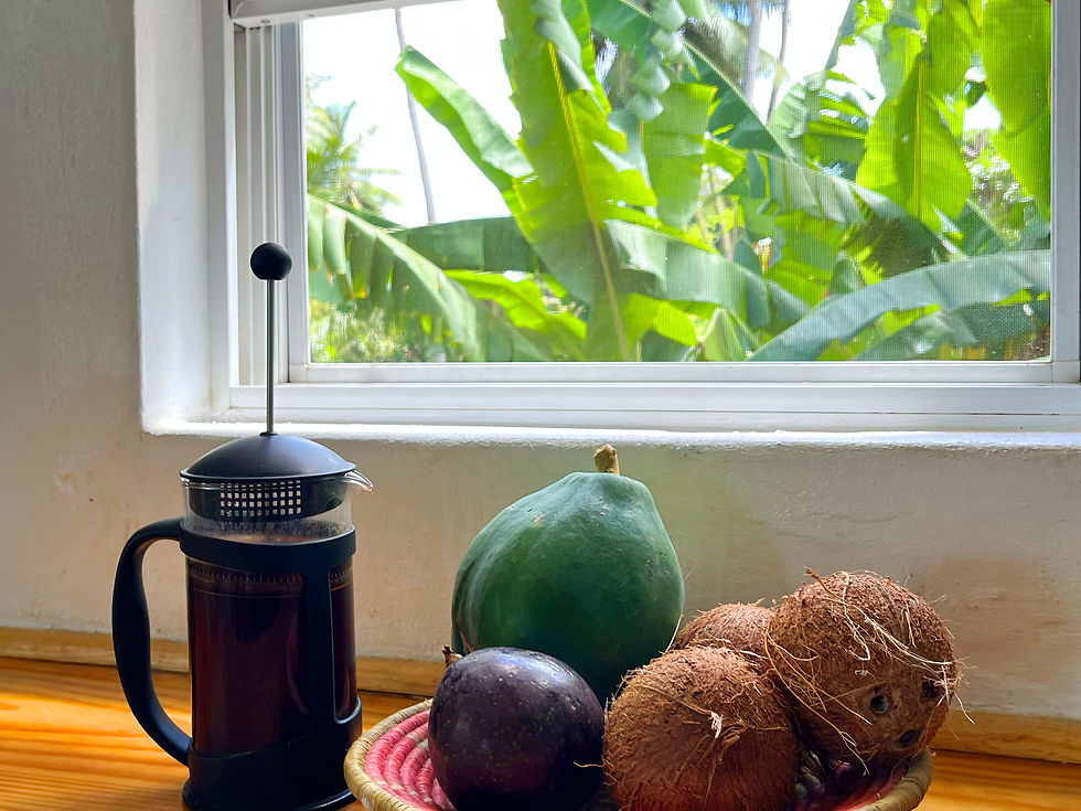 Fresh Fruits Picked from the Garden - Little Diamond