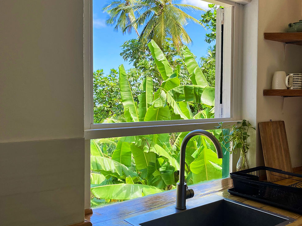 Tropical Kitchen views from - Little Diamond