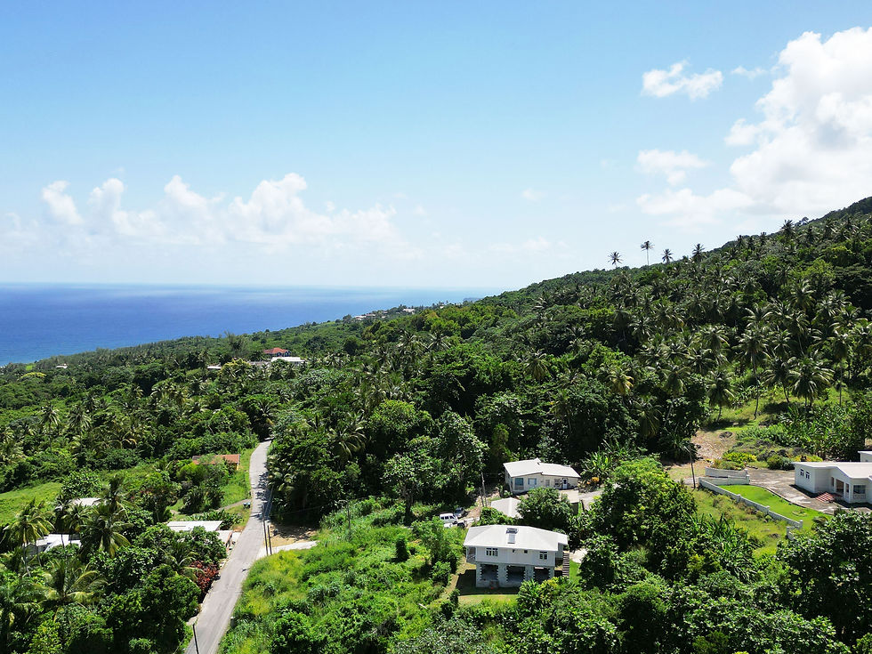 The Top of Bathsheba Village - Little Diamond