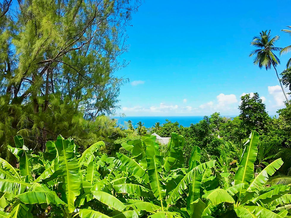Ocean View From Upper Deck - Little Diamond
