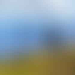 The Gut–Brain Connection: How Your Gut, Mind, and Immunity Work Together