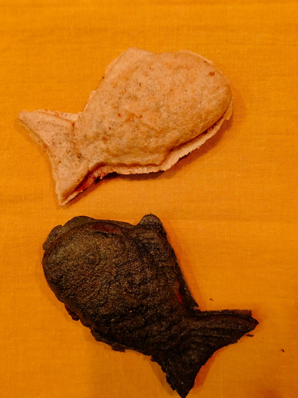 IMG20220501223514