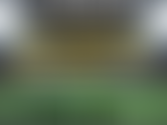 Become A Fan Plan Member!