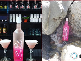GRUPO ROJAS VENTA DE VODKA SAADA