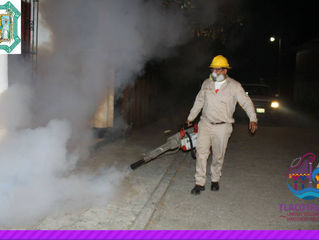 !¡POR UN TLACOTALPAN LIBRE DE MOSQUITOS!
