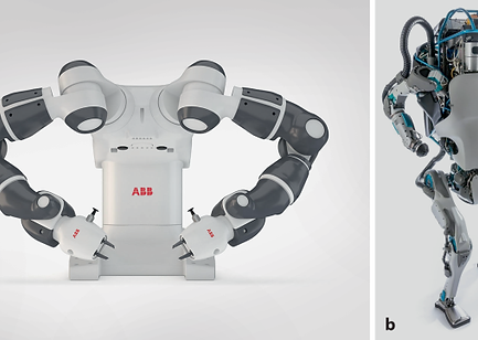 Robotic Implanted
