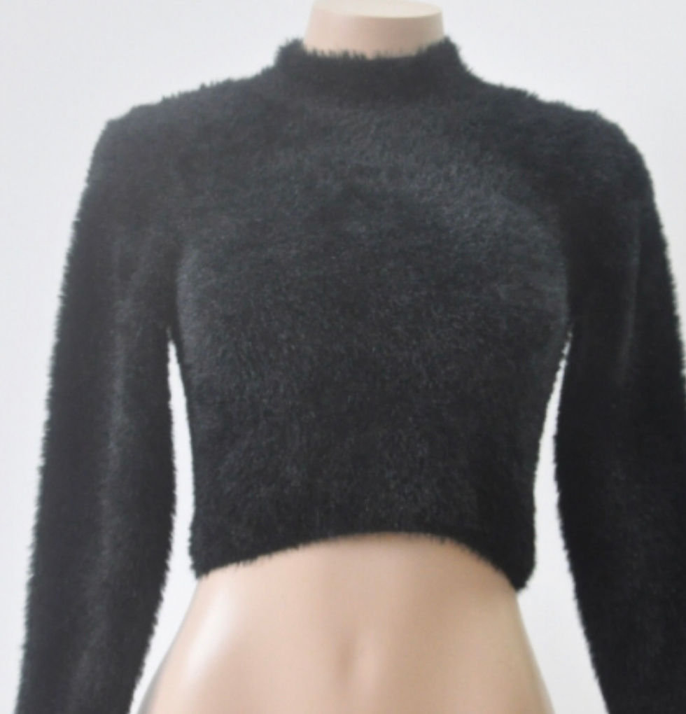 Thumbnail: Fuzzy Crop Top
