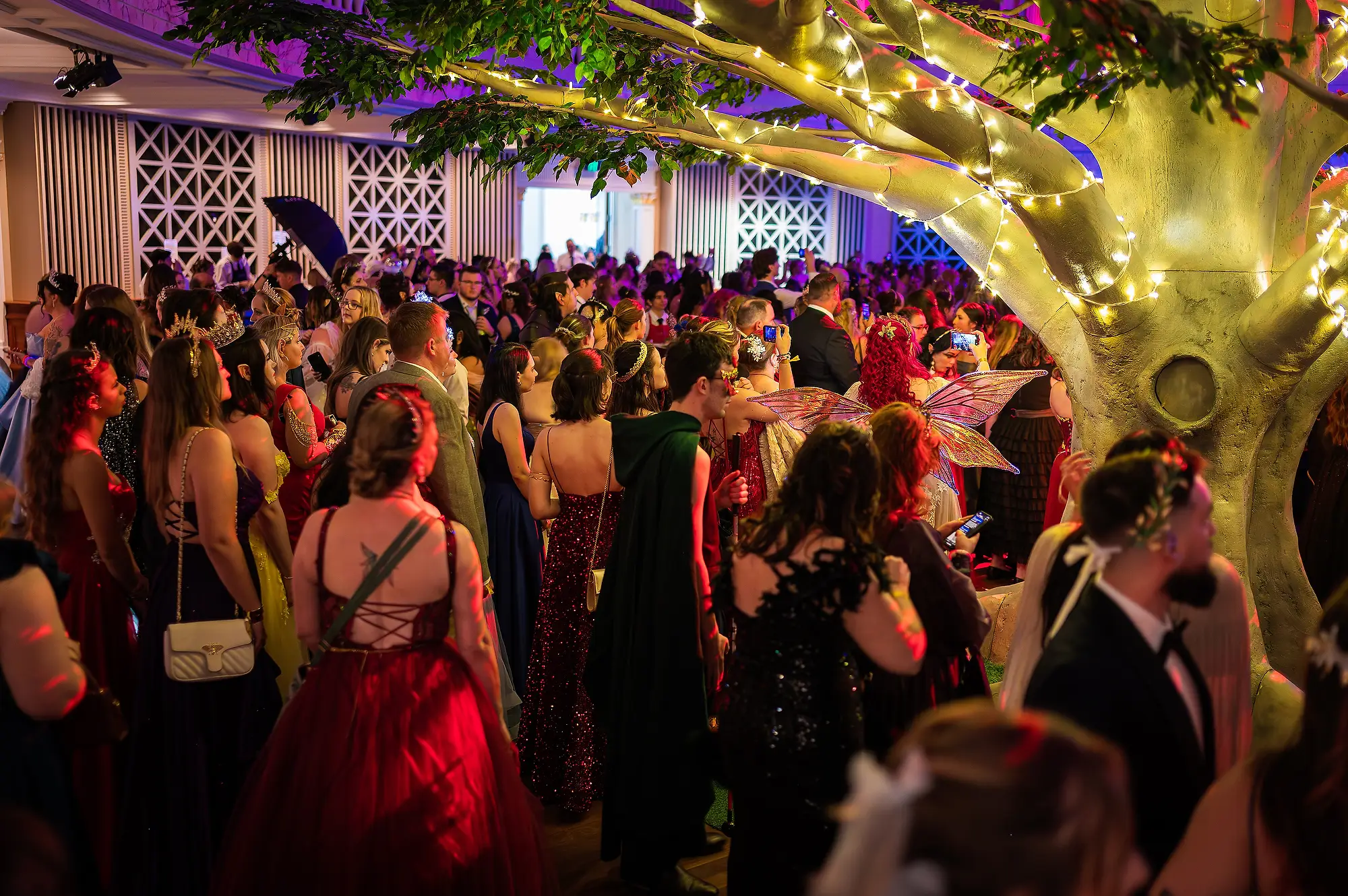 Crowd enjoying Celestial Events at Brisbane City Hall under golden tree lights