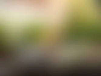 Brisbane commercial food photography – fresh seafood and cocktails outdoors