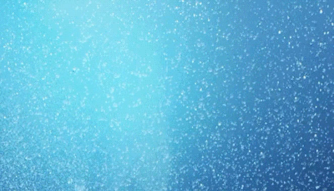 23.gif