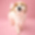 PUP review Nusa vijf sterren