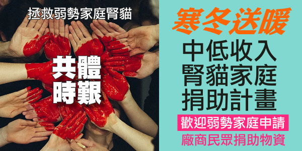 拯救弱勢腎貓家庭|台灣腎貓協會|友善動物醫院推廣計畫