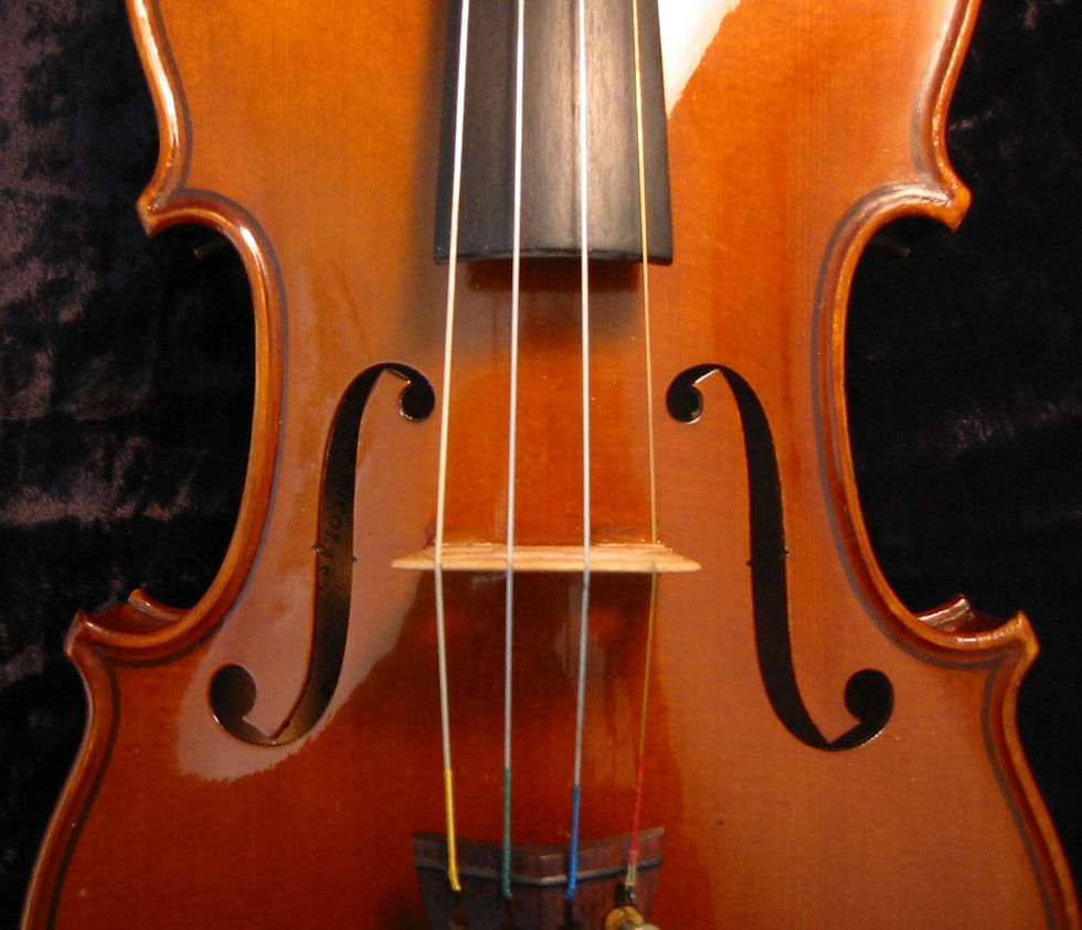 violin (1).jpg