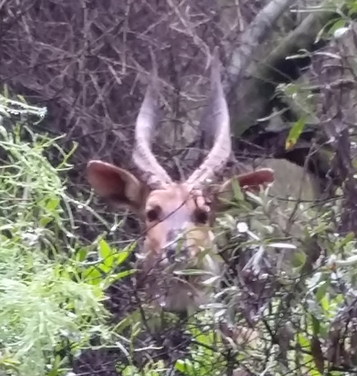 Story - Magic Carpet Ride in Mpumalanga