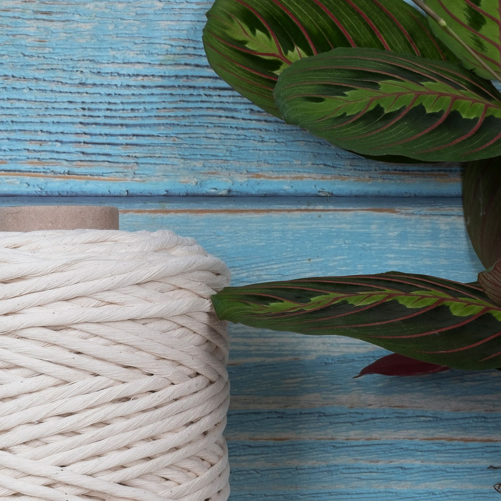 תמונה ממוזערת: סינגל טוויסט 5 מ"מ טבעי