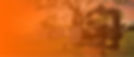 banner13.jpg