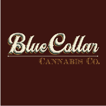 Blue Collar-03.jpg