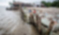 Poles and sandbags is put up in a coastal part of Mekong Delta