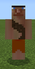 Skin (1).png