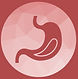 Icône digestion et confort intestinal