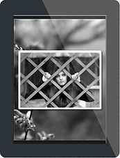 butterfly-wings-the-book-by-taun-richard