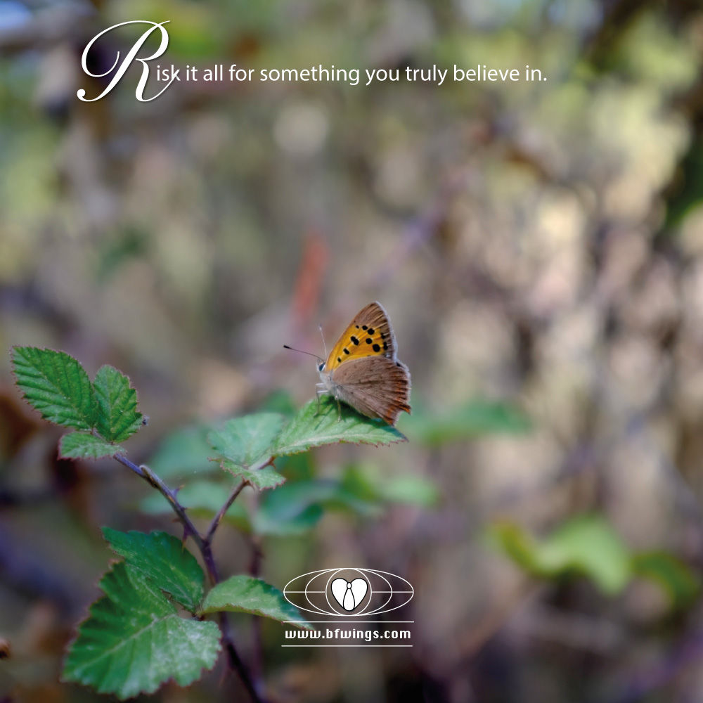 Risk it all for something you truly believe in