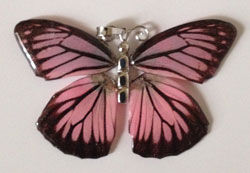 Full wing pendant