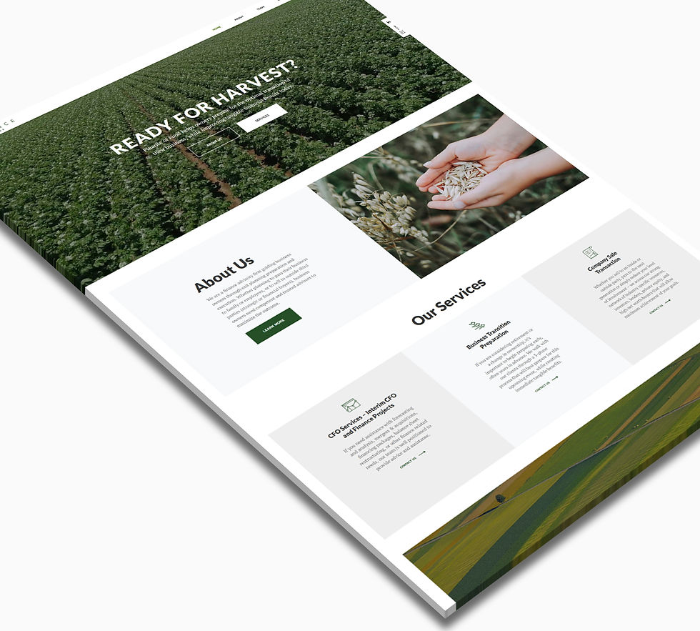 Finance of Food - Wix Website - Christy Evans Design