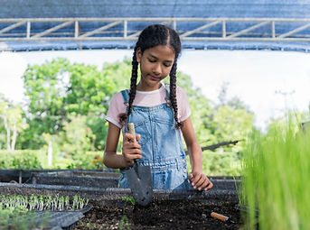 Young pre-teen girl using spade in garden