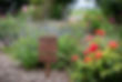 Rose Garden