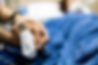 Holding a patient's hand in hospital